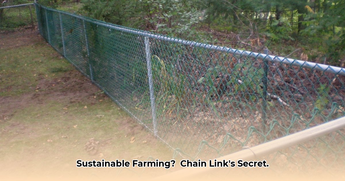 chain-link-fence-tractor-supply